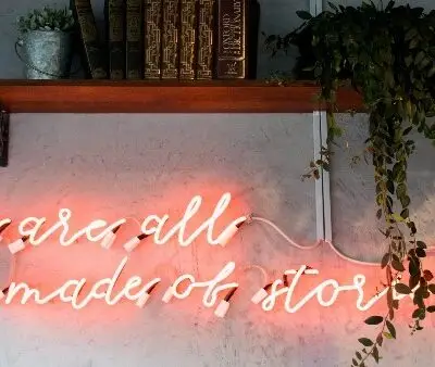 Paid Consultation: Story Slam